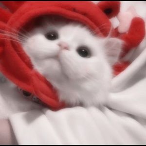 Meet your Posher, Karrah